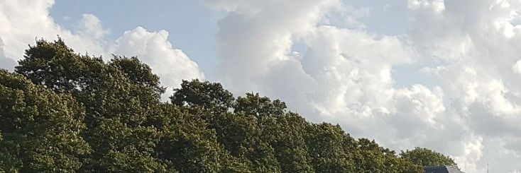 Tina9_'s profile banner image
