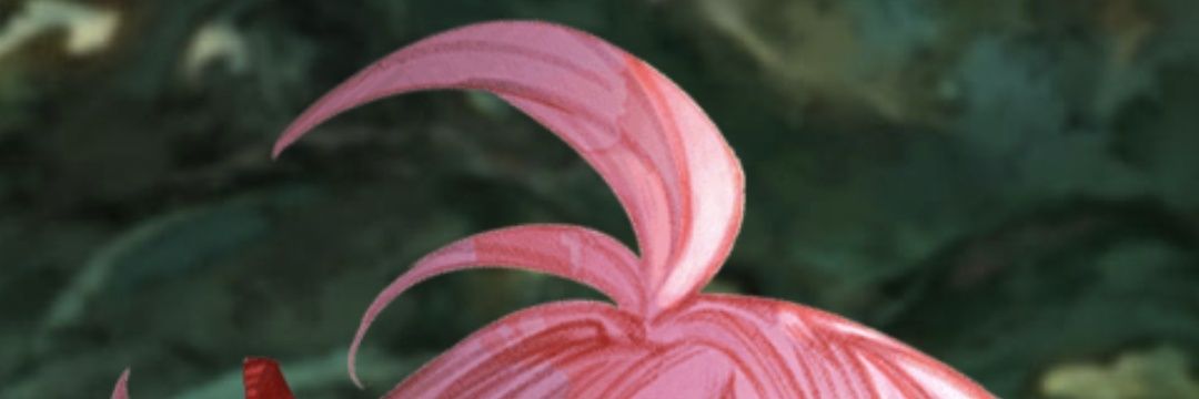まっつん#55🔅🐳🫧 banner