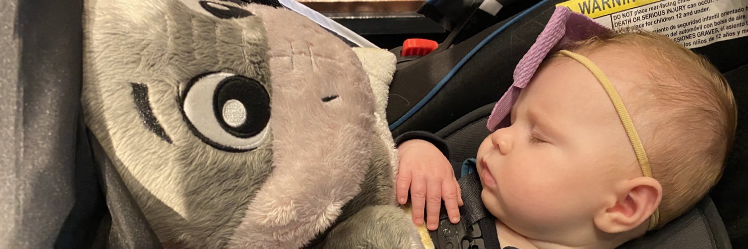 nlmhicks's profile banner image