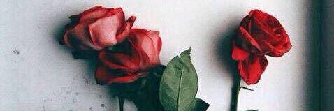 AmberYPL's profile banner image