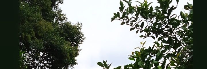 AlduuContre's profile banner image