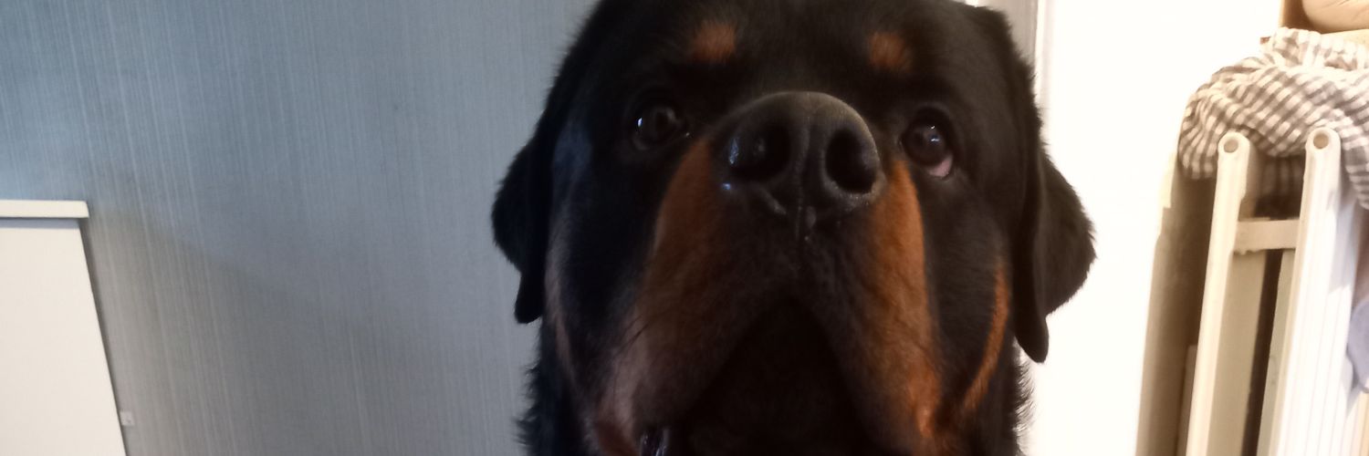 fungiferg's profile banner image