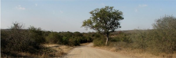 tnewbold31 Profile Banner