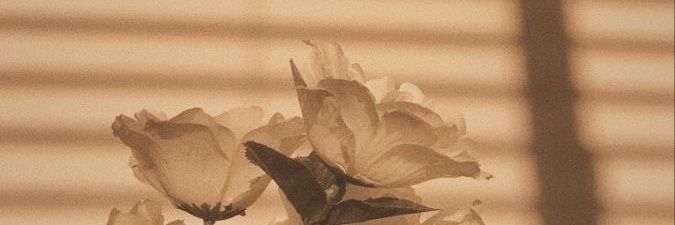 03_loreni's profile banner image