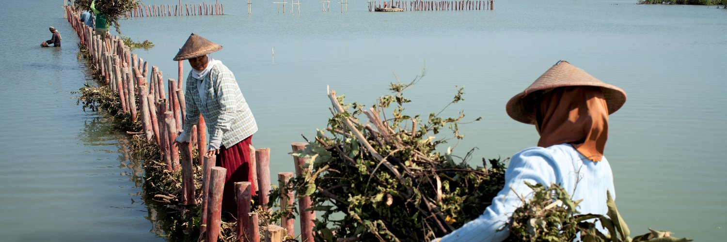 WetlandsInt's profile banner image