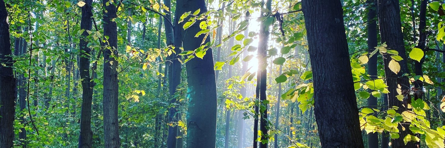 Wendy Randall banner