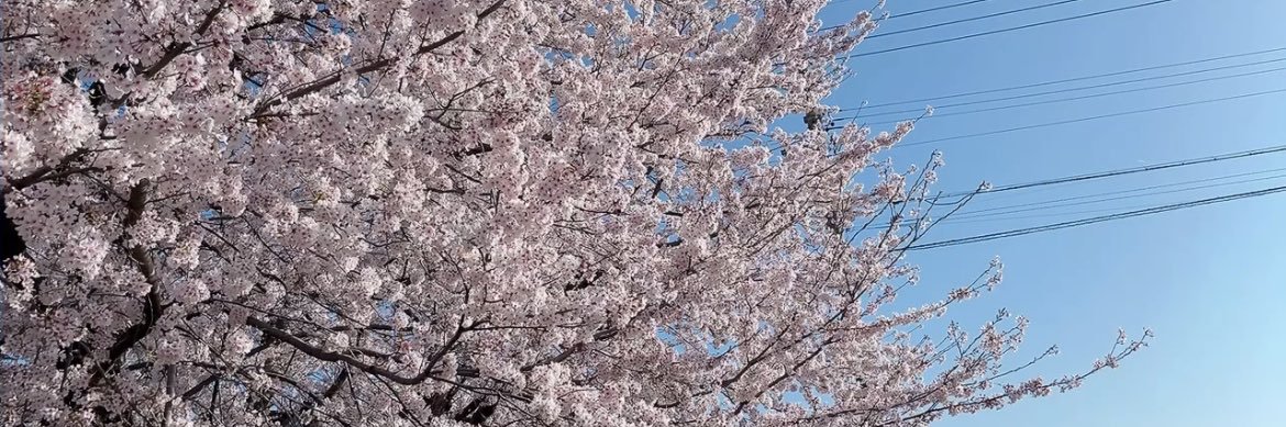 Ufu_land's profile banner image