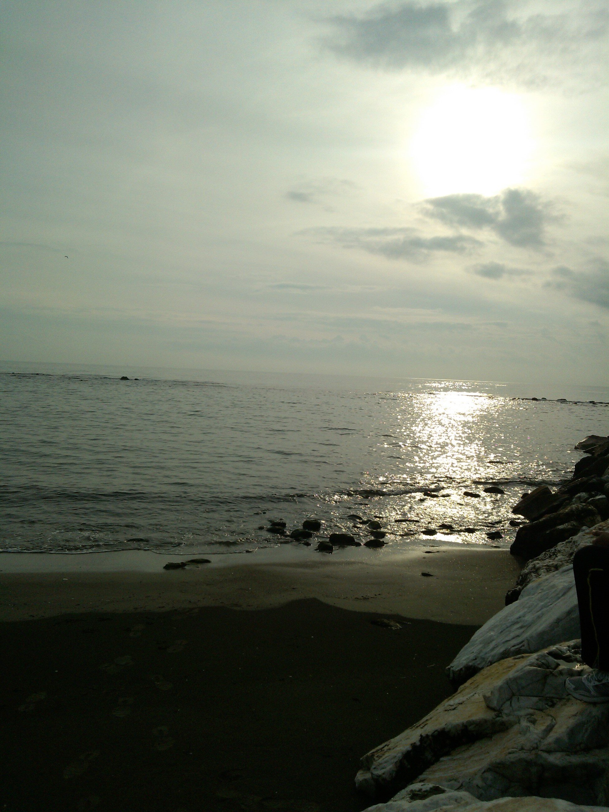 semmy_shark's profile banner image