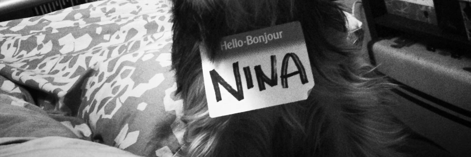 Nina Lee Aquino banner