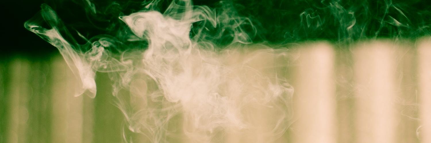 LimeLemonz's profile banner image