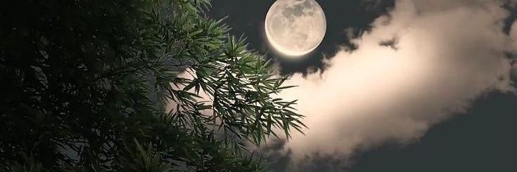 WStar2023's profile banner image