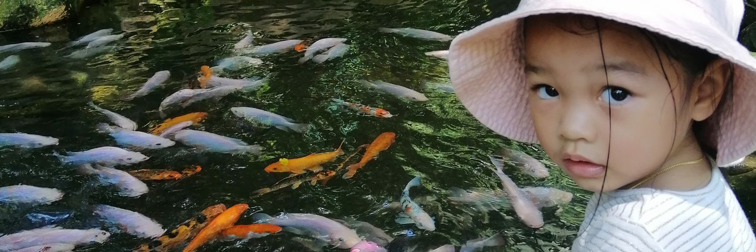 faieza's profile banner image