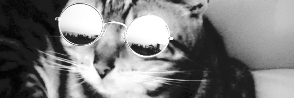 i8nomofo's profile banner image