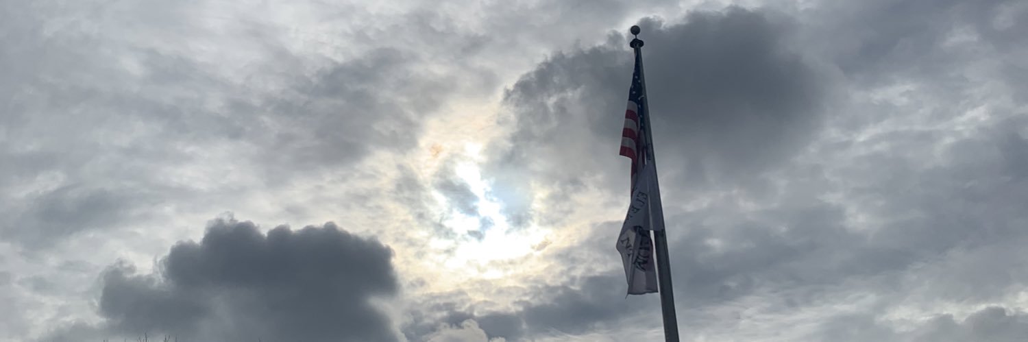 Erin Scillia banner