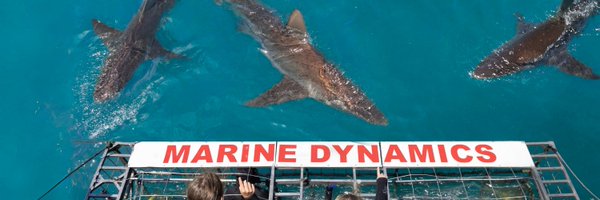 MarineDynamics Profile Banner