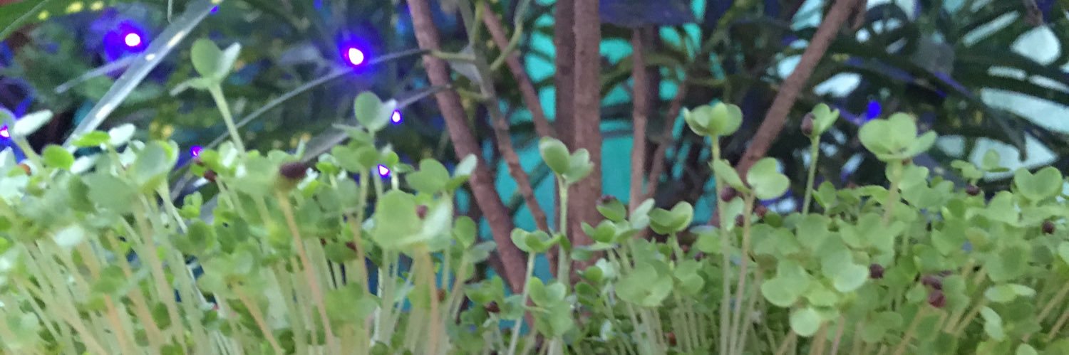 sagartalk's profile banner image