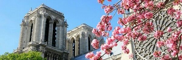 Handy_Paris's profile banner image