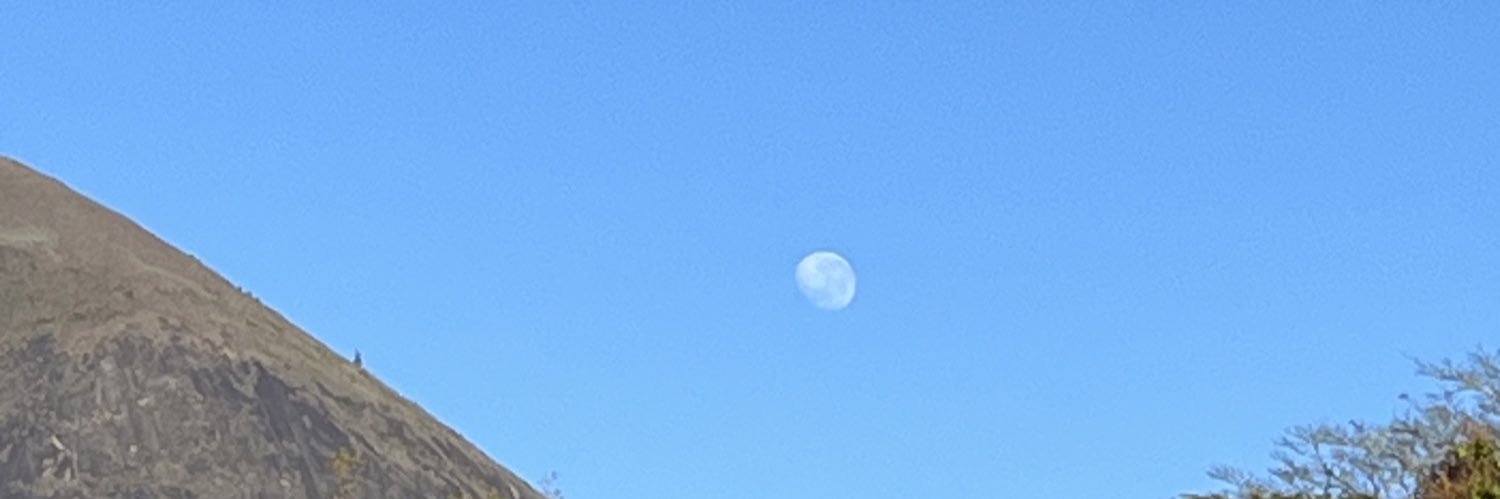 jamynewerneck's profile banner image