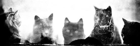 ramondub's profile banner image
