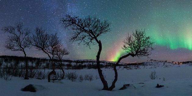 _SvartRavn's profile banner image