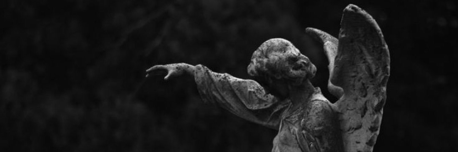 RoxkOutChucky's profile banner image