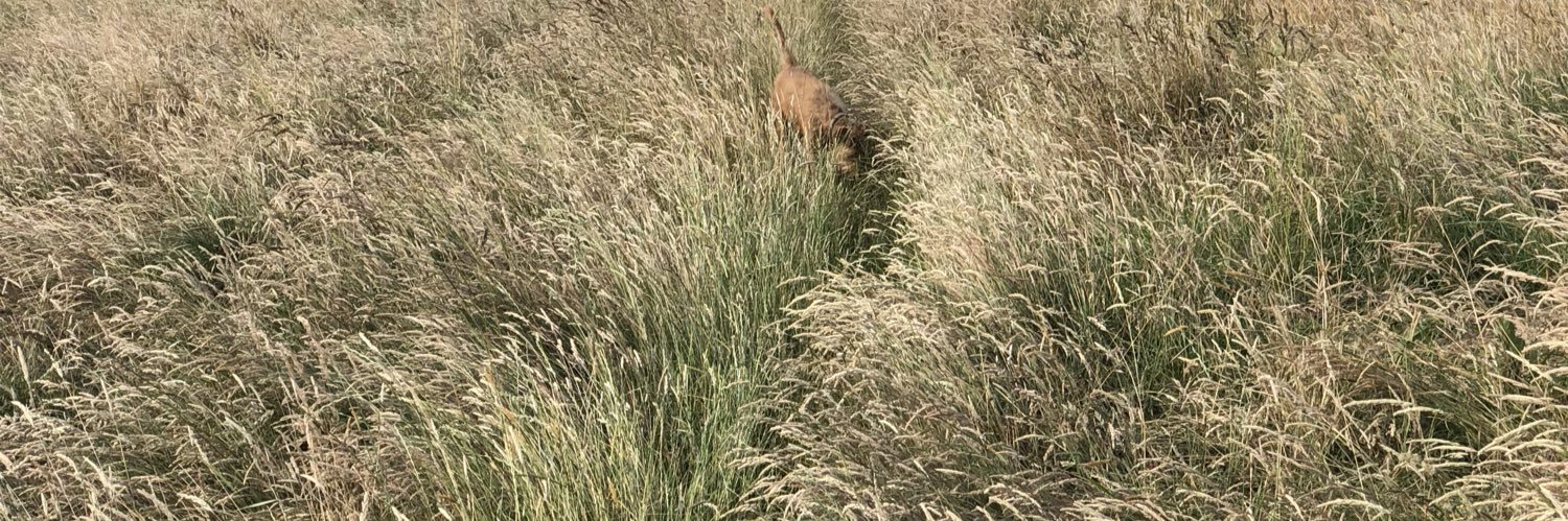 TheMenInBlack banner