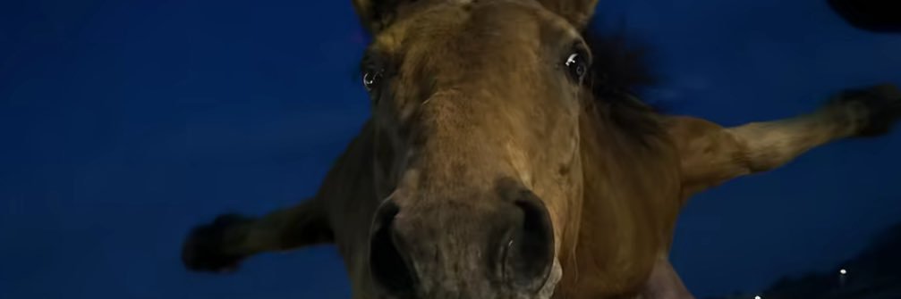 1Huntaa's profile banner image