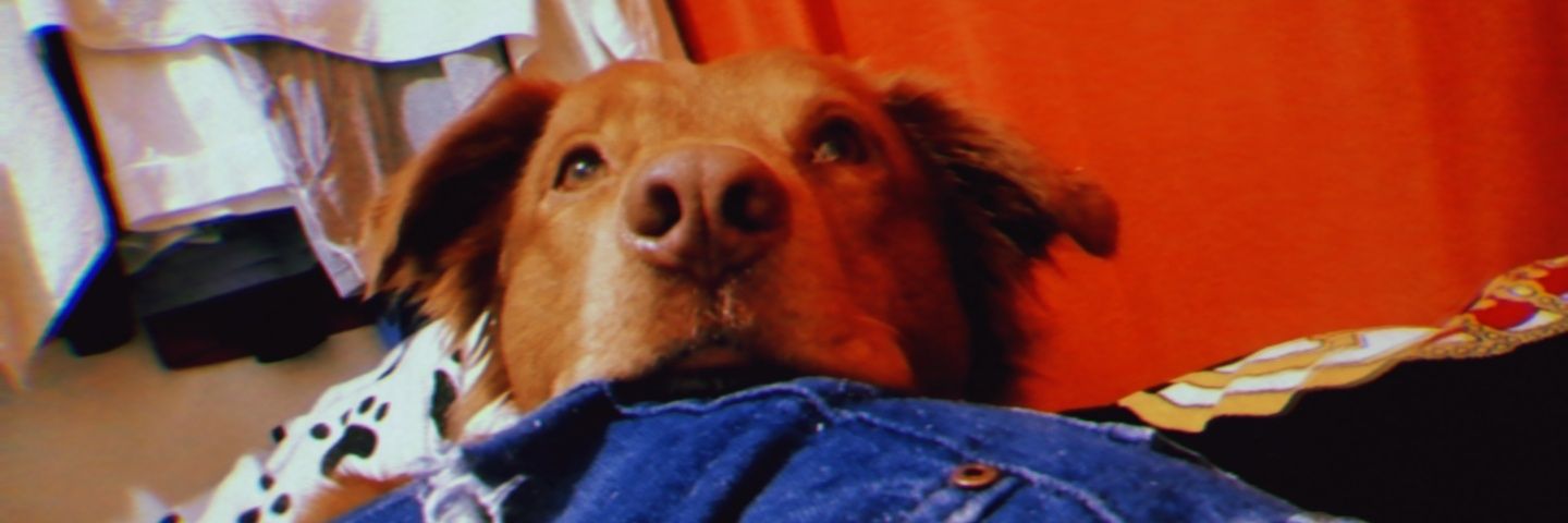 nanis27p's profile banner image