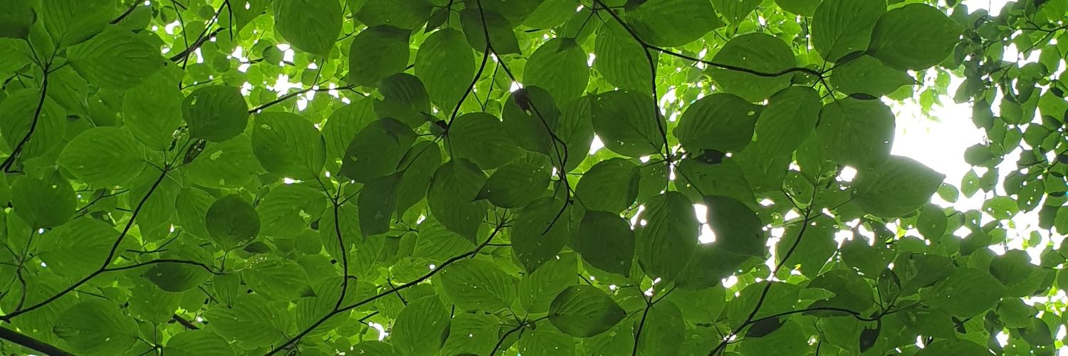 yipilled's profile banner image