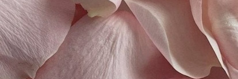 _RMS7777's profile banner image