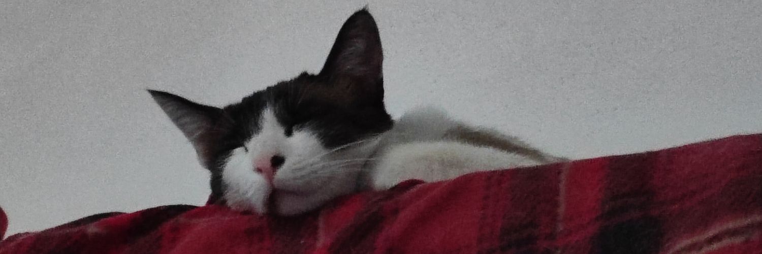 dyanvaluz's profile banner image