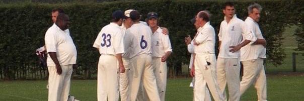 TaggsCricket's profile banner image