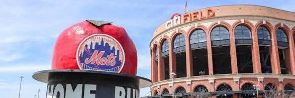 86MetsTeam's profile banner image