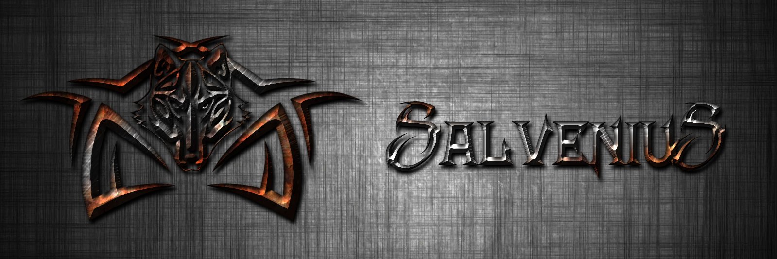 Salvenius's profile banner image