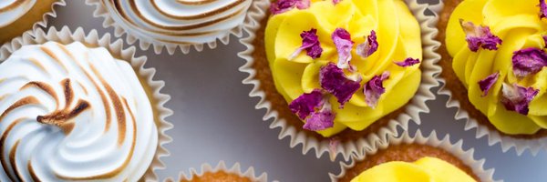 el1nor Profile Banner