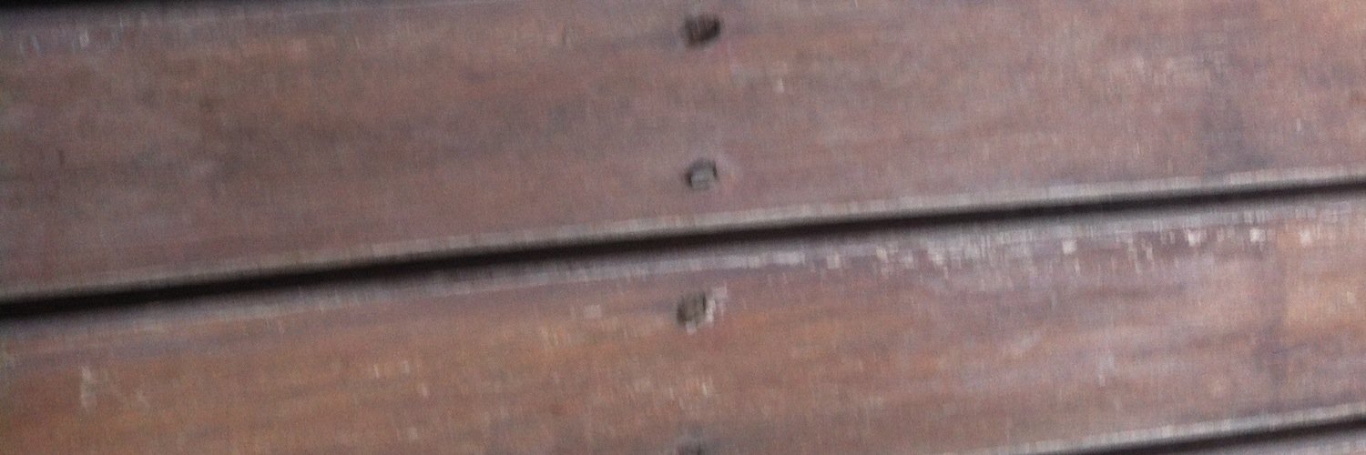 starudji's profile banner image