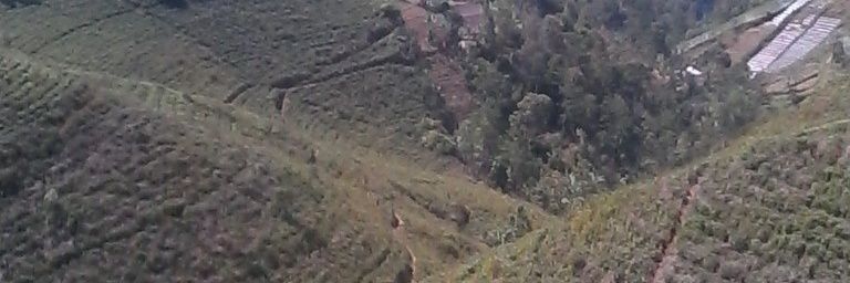 bapake_thole's profile banner image