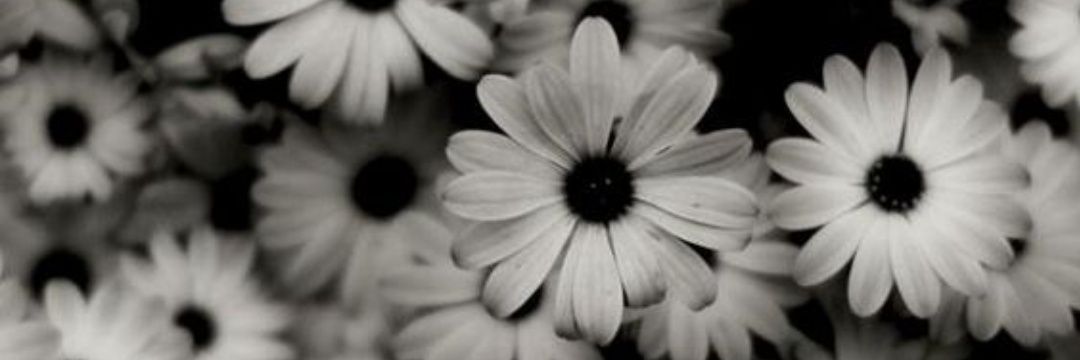 Emece28's profile banner image