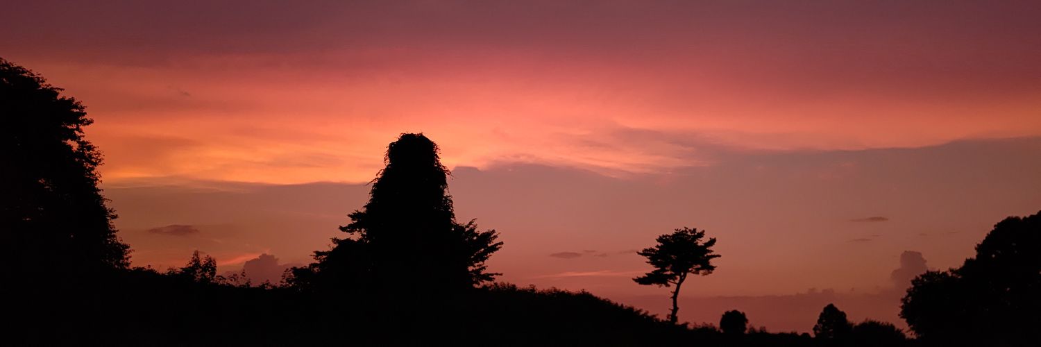 4K0803's profile banner image
