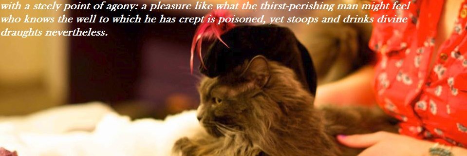 Psyche Z. Ready banner