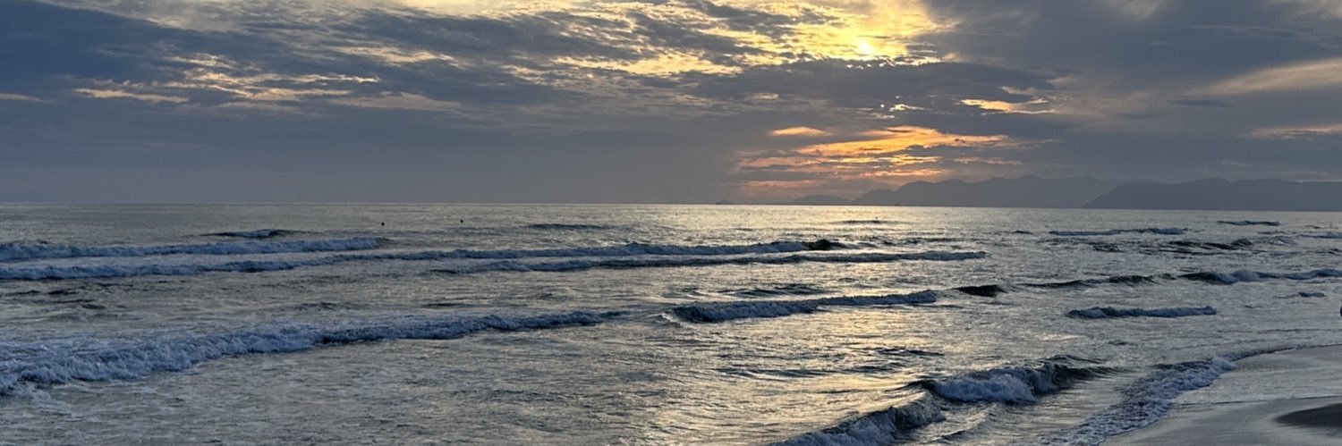 mshmri99's profile banner image