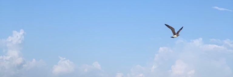 _Amanida's profile banner image