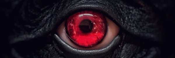 maaayee Profile Banner