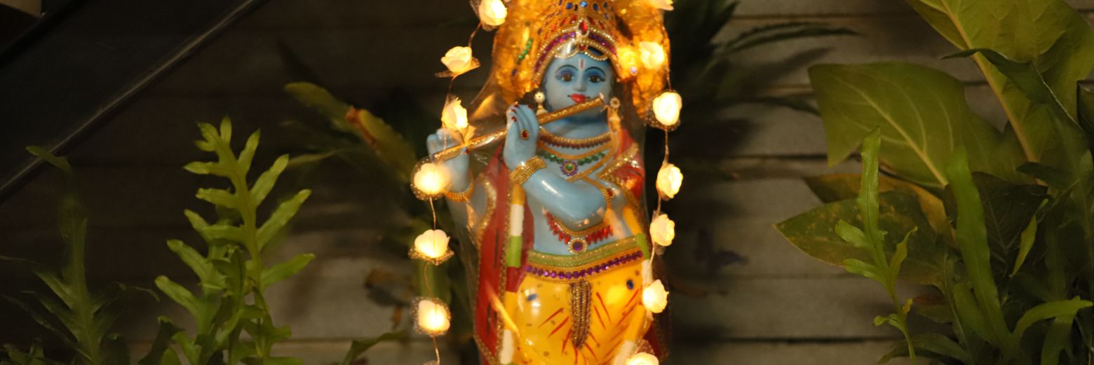 avramesh's profile banner image