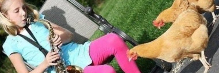 pickle_jar_'s profile banner image