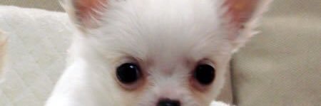 tryouma2's profile banner image