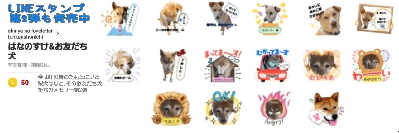 nosukechan_'s profile banner image