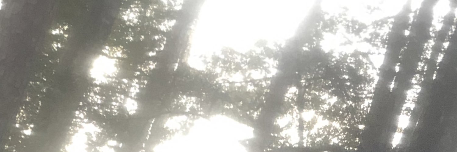 shotbydono's profile banner image