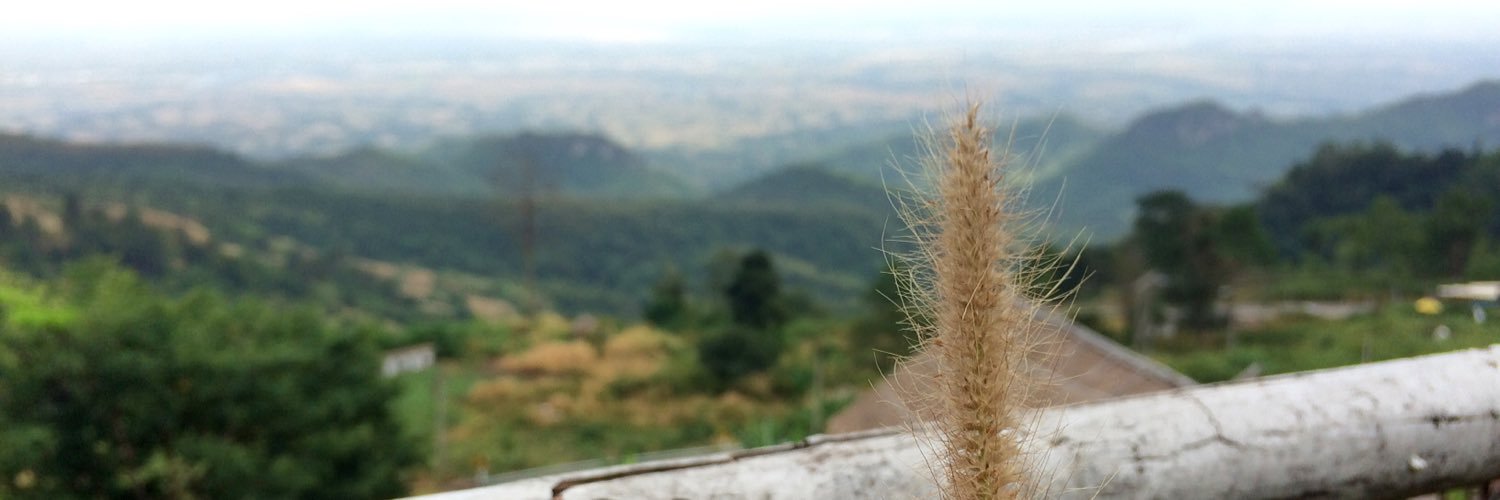 FLukpd's profile banner image