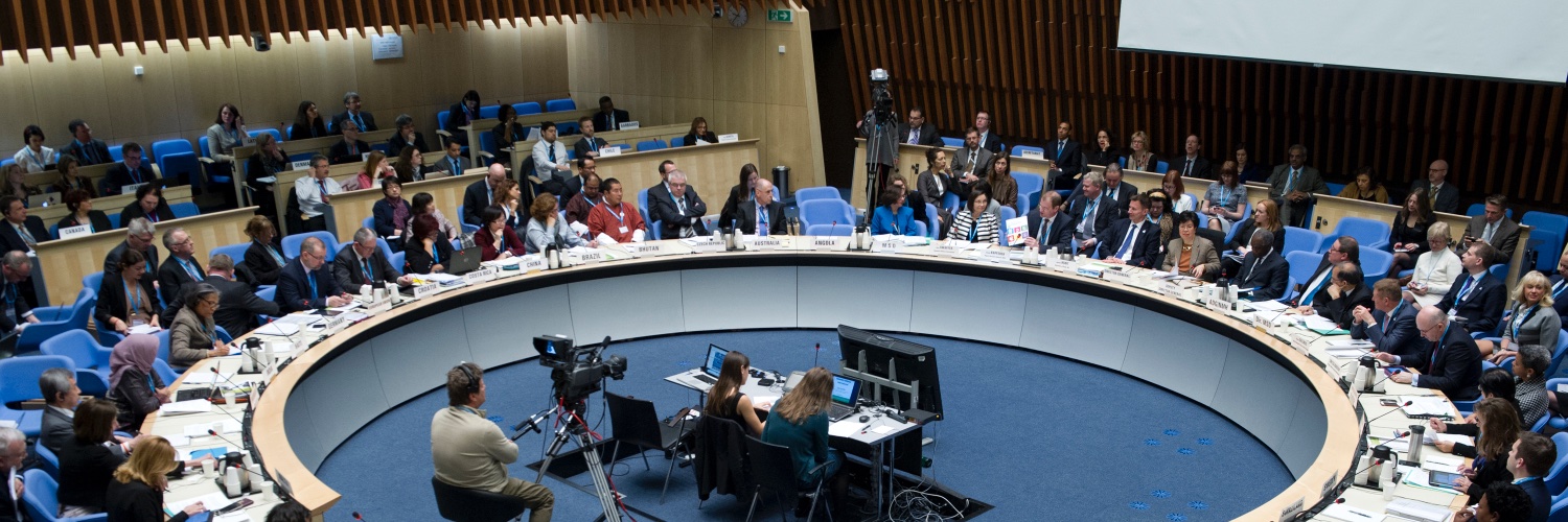 Kate Swaffer she/her ❤️🌈🖤🌈💛🌈 banner